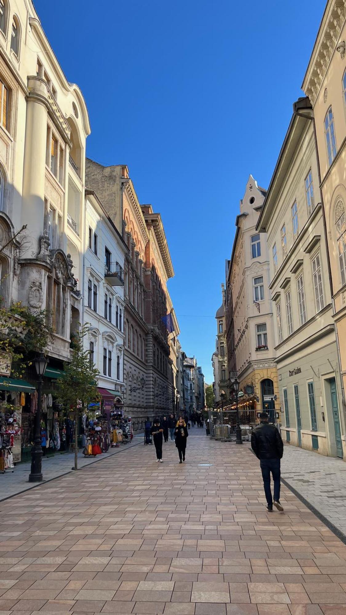 Mirage Apartments Vaci Street Budapeşte Dış mekan fotoğraf